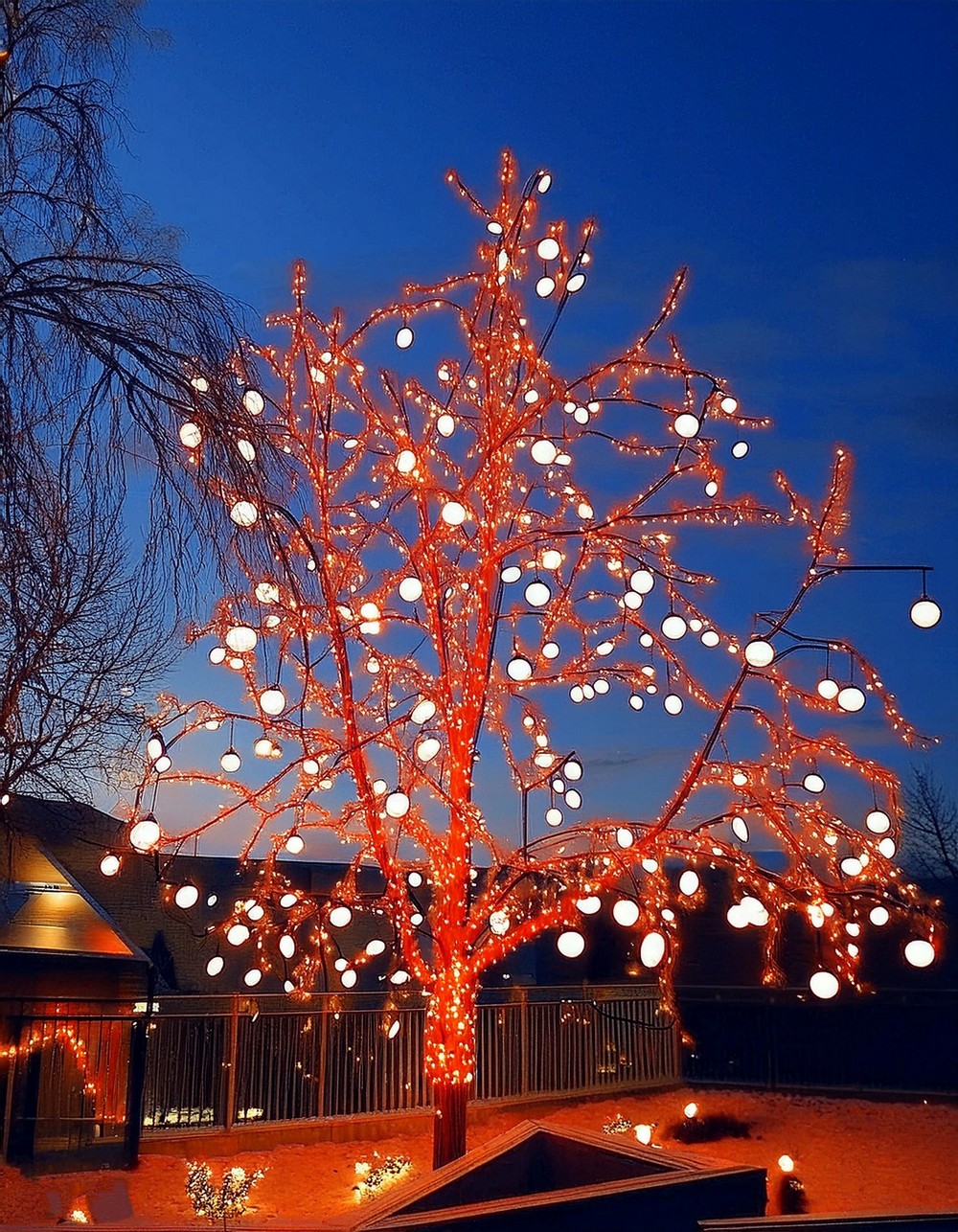 Light Up Your Home with a Personalized Outdoor Display