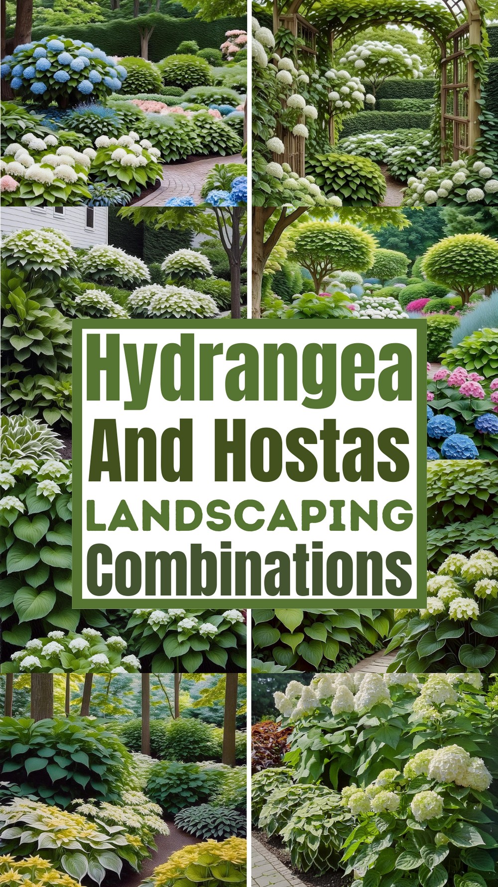 Hydrangea And Hostas Landscaping Combinations