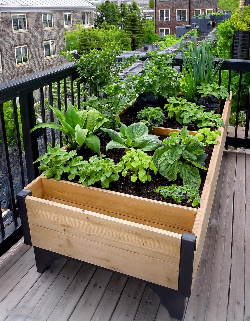 Raised Bed Garden