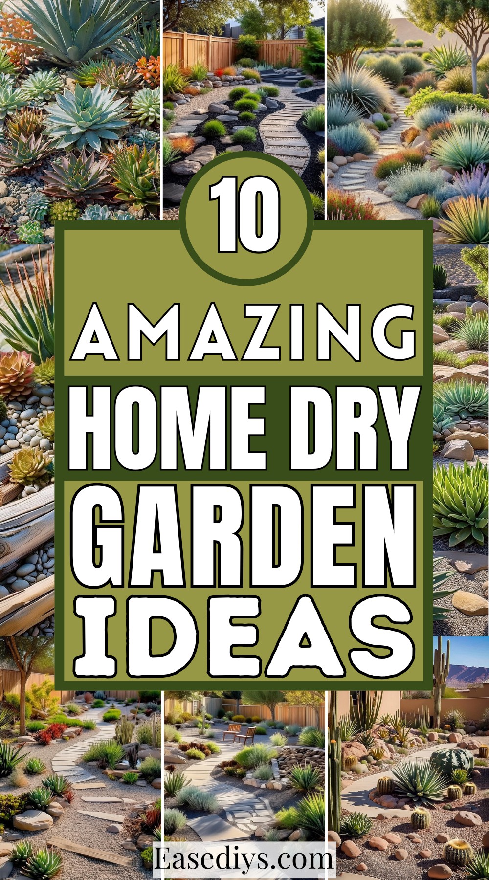 Amazing Home Dry Garden Ideas