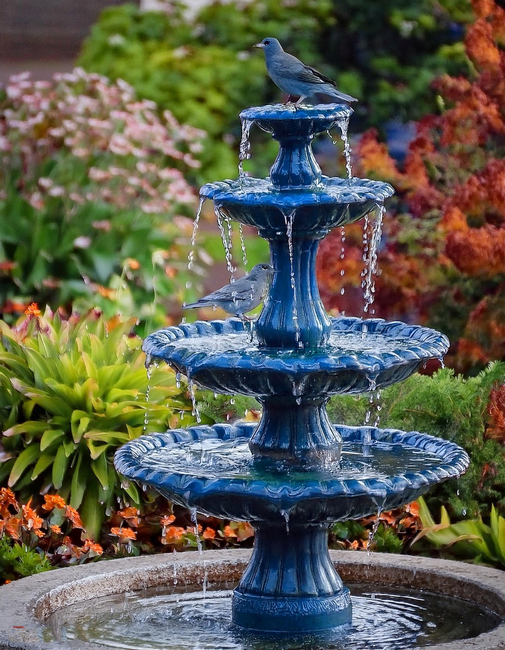 Bird Bath Fountain