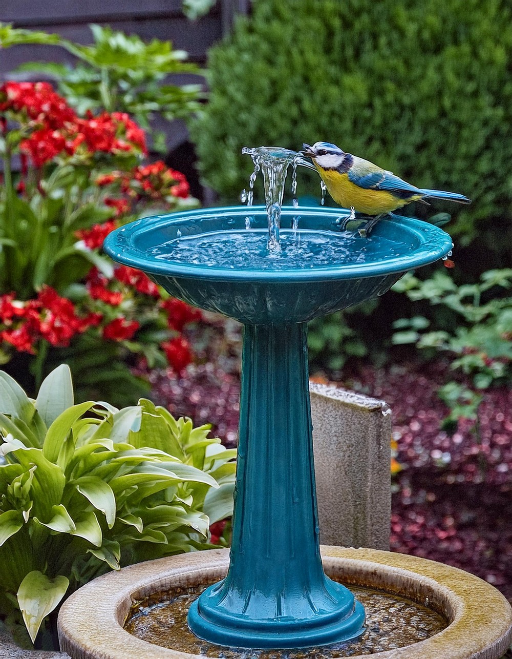 Bird Bath with a Solar Fountain
