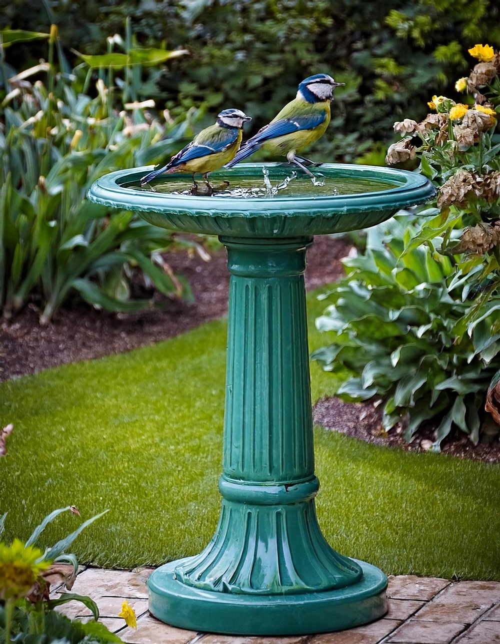Classic Pedestal Bird Bath