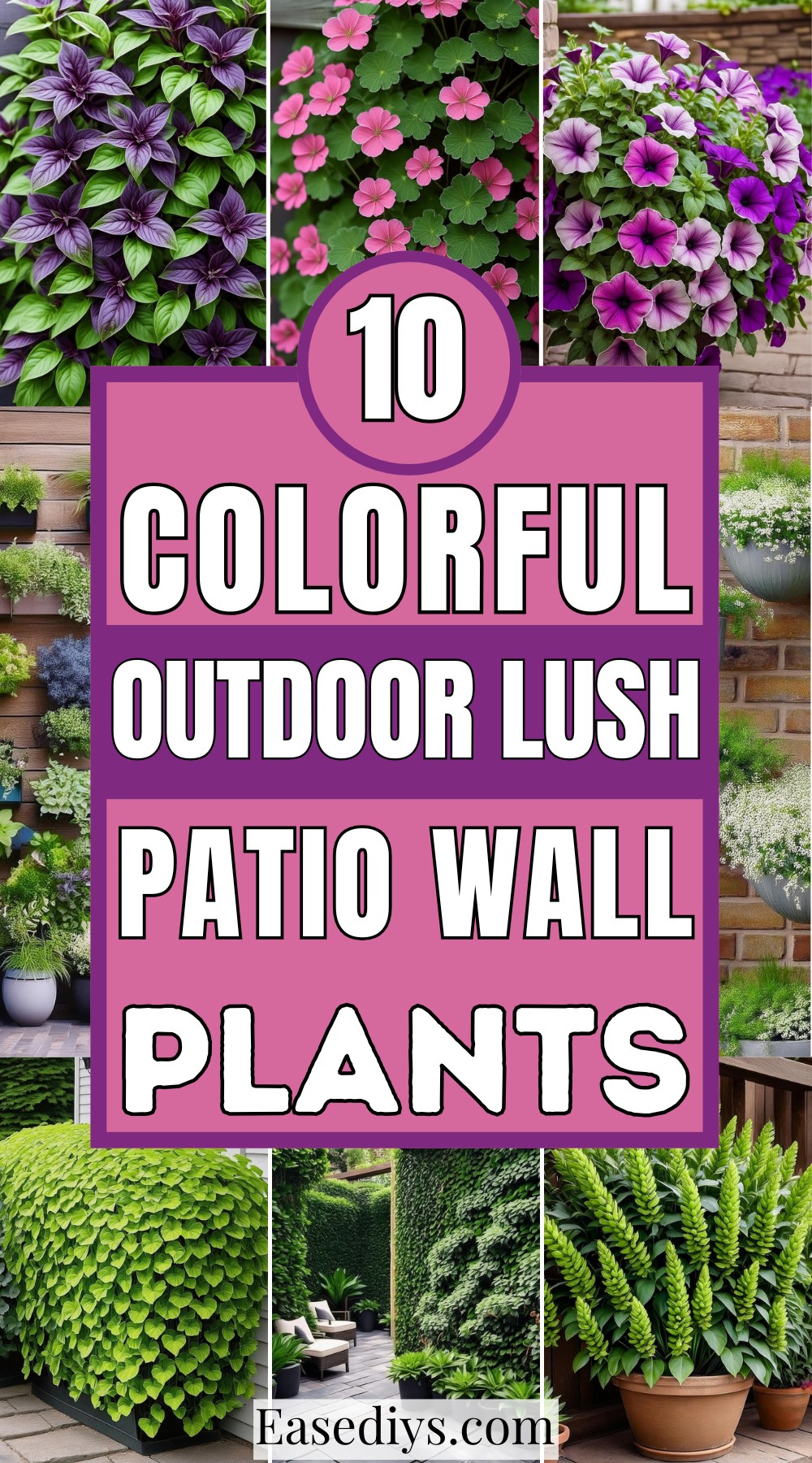 Colorful Outdoor Lush Patio Wall Plants