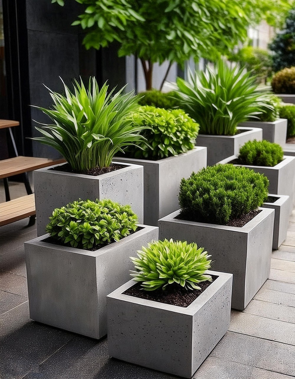 Concrete Planters