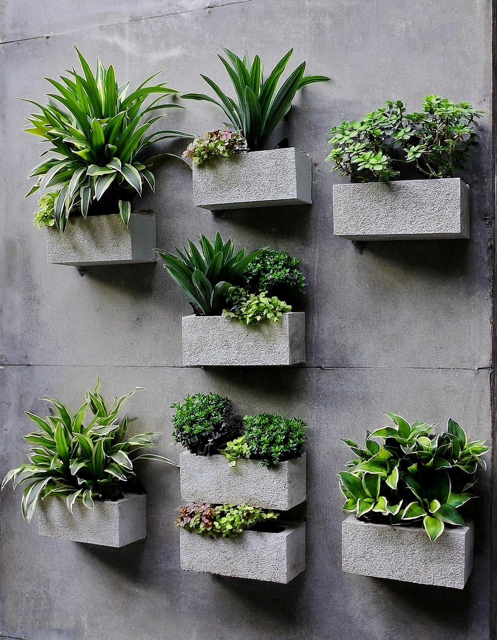 Concrete Wall Planter