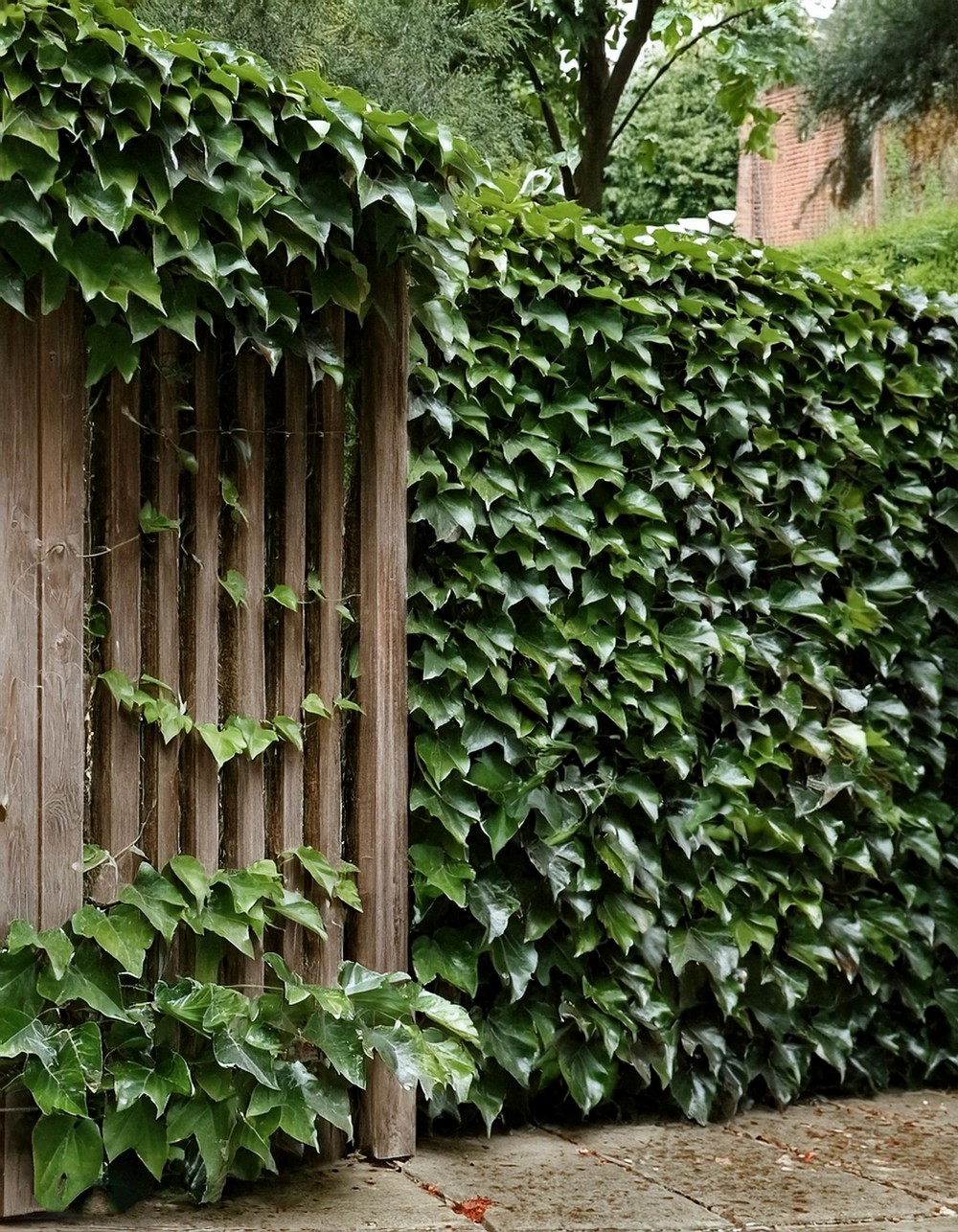 Faux Ivy Fencing