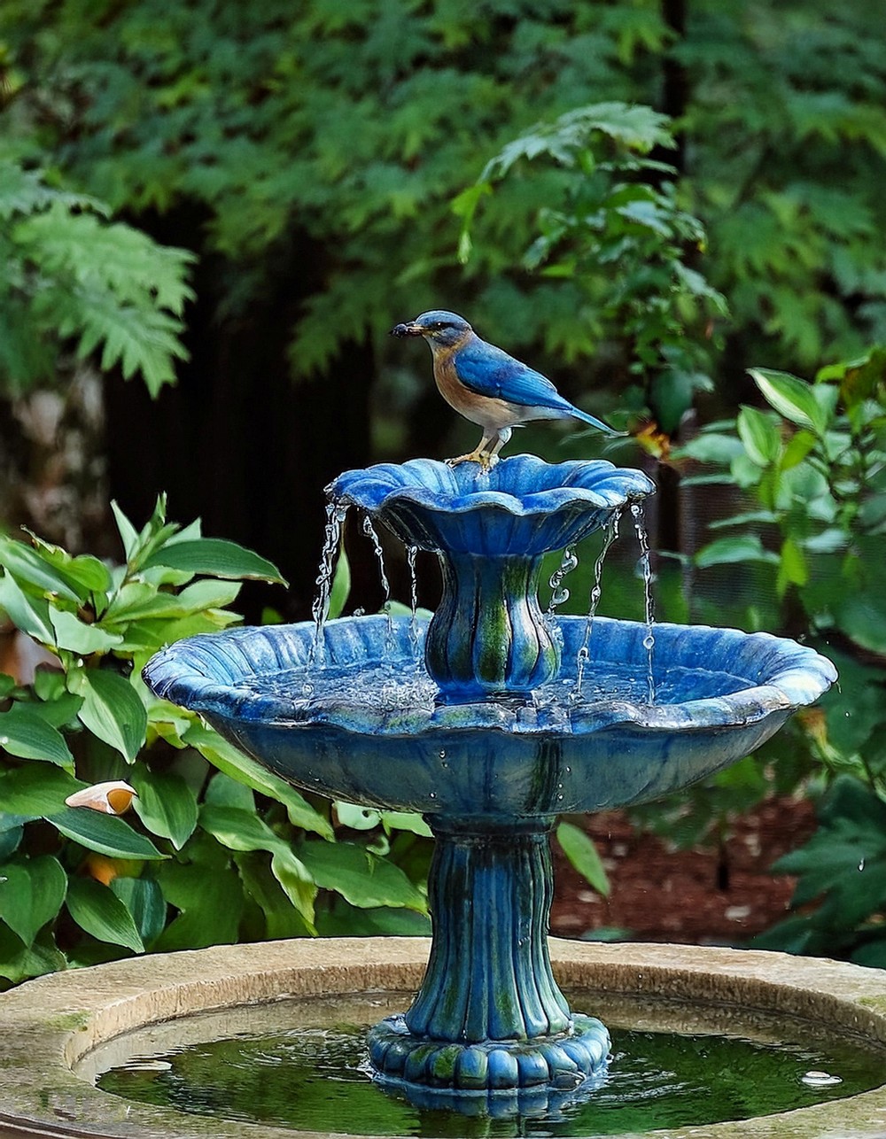 Fountain Bird Bath
