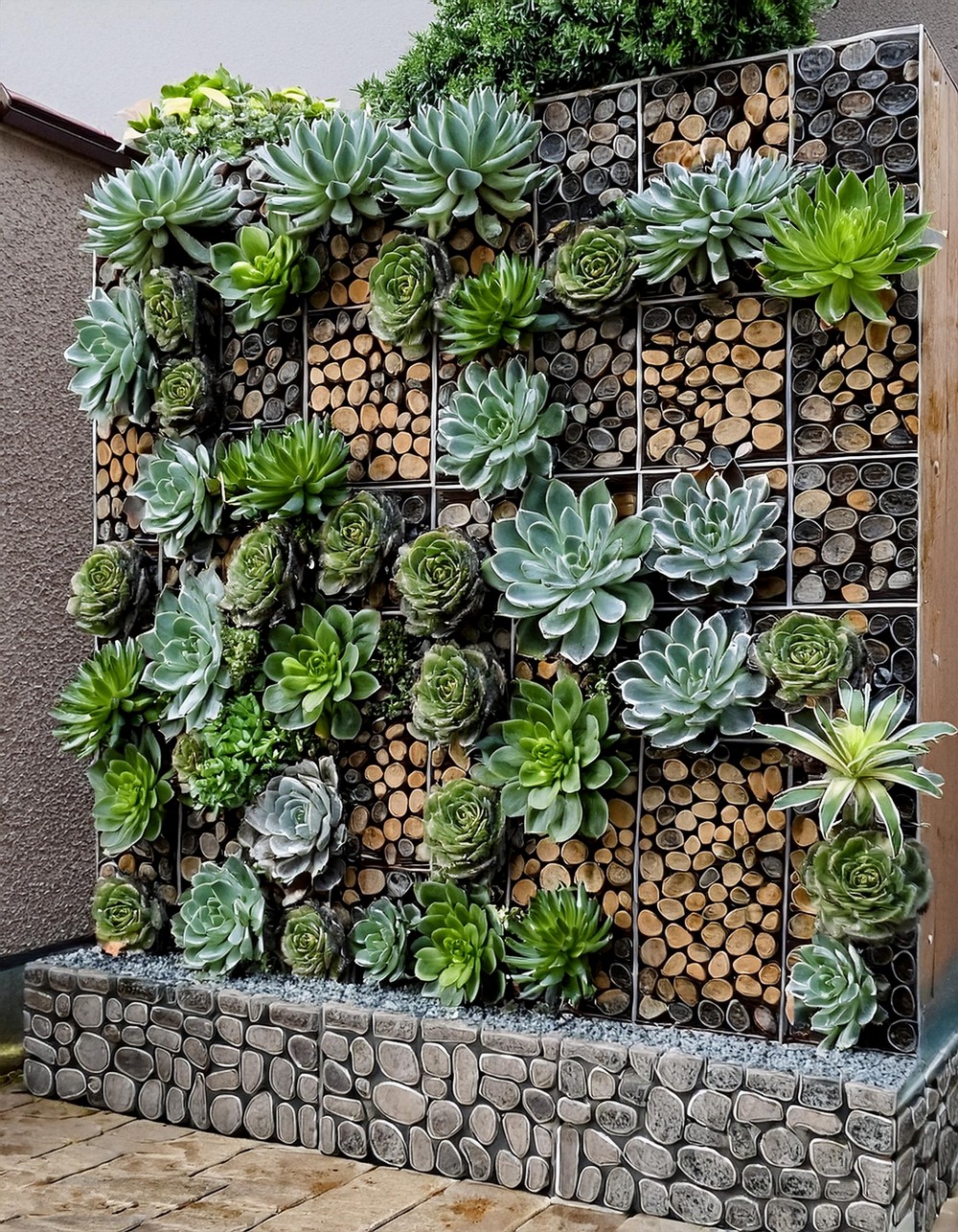 Gabion Wall with Succulents