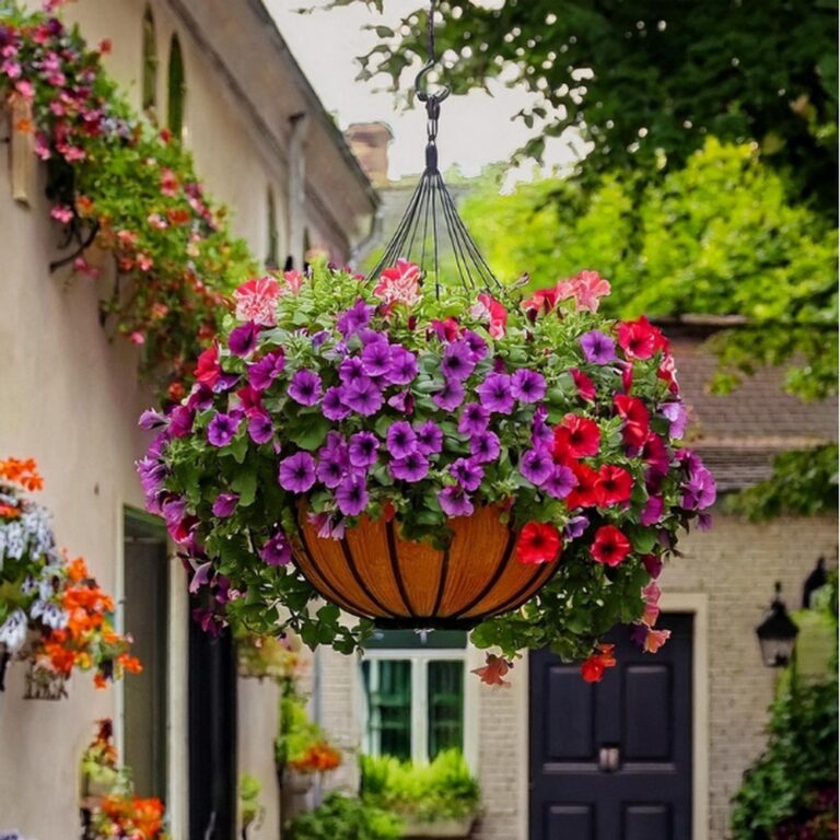 Hanging Basket Garden