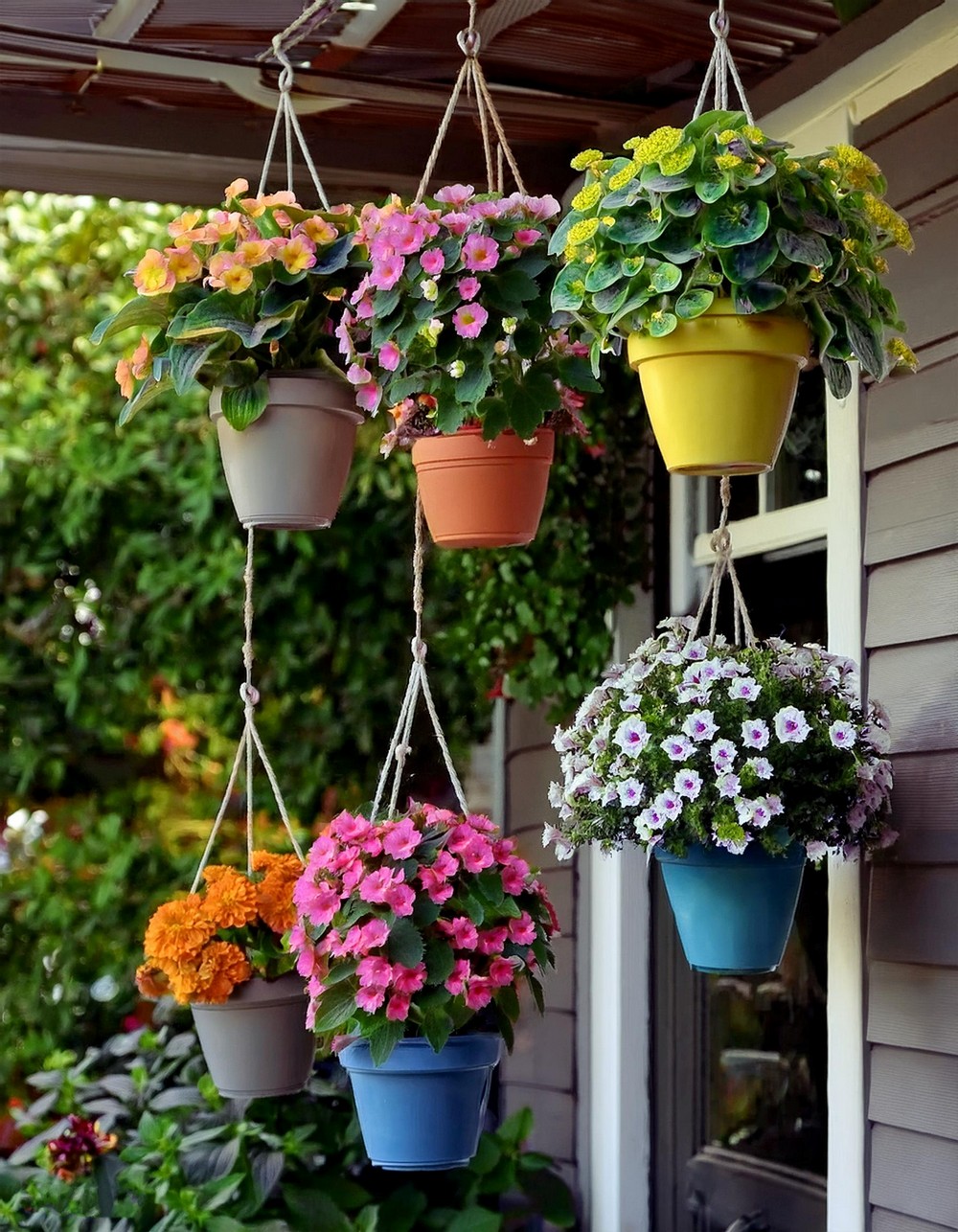 Hanging Flower Pots