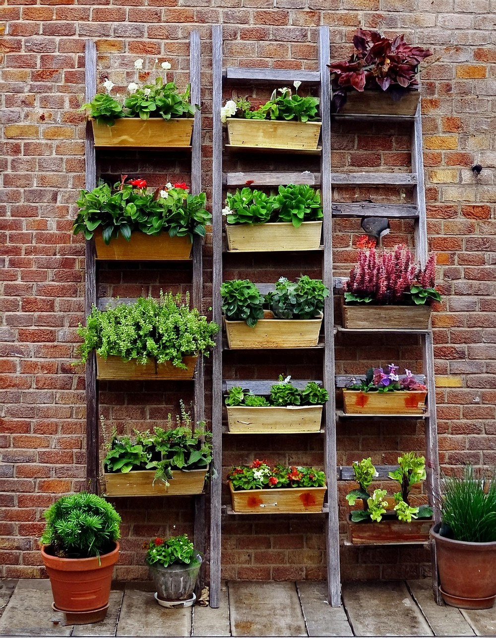 Ladder Planter