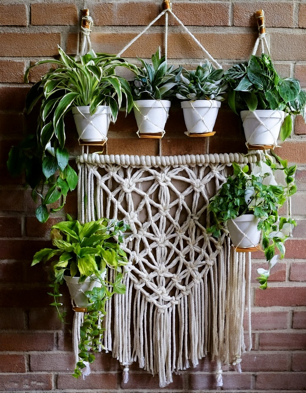 Macrame Wall Planter