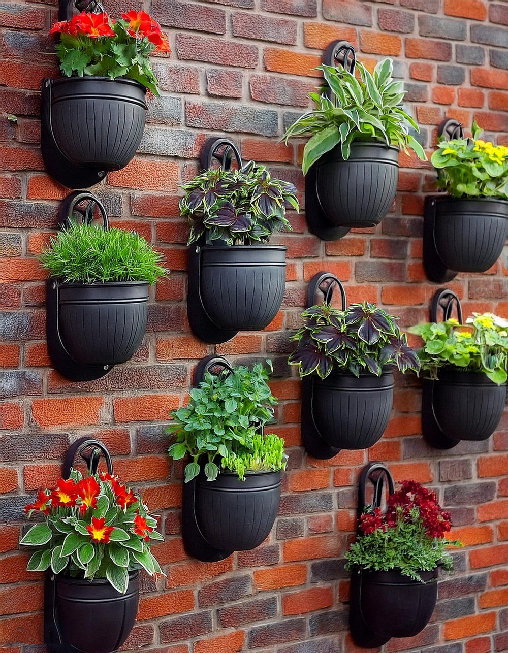 Planters on the wall with decorative hooks