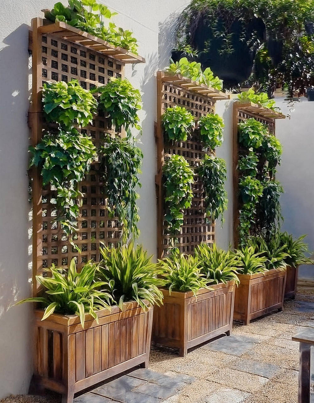 Planters with Built-in Trellises