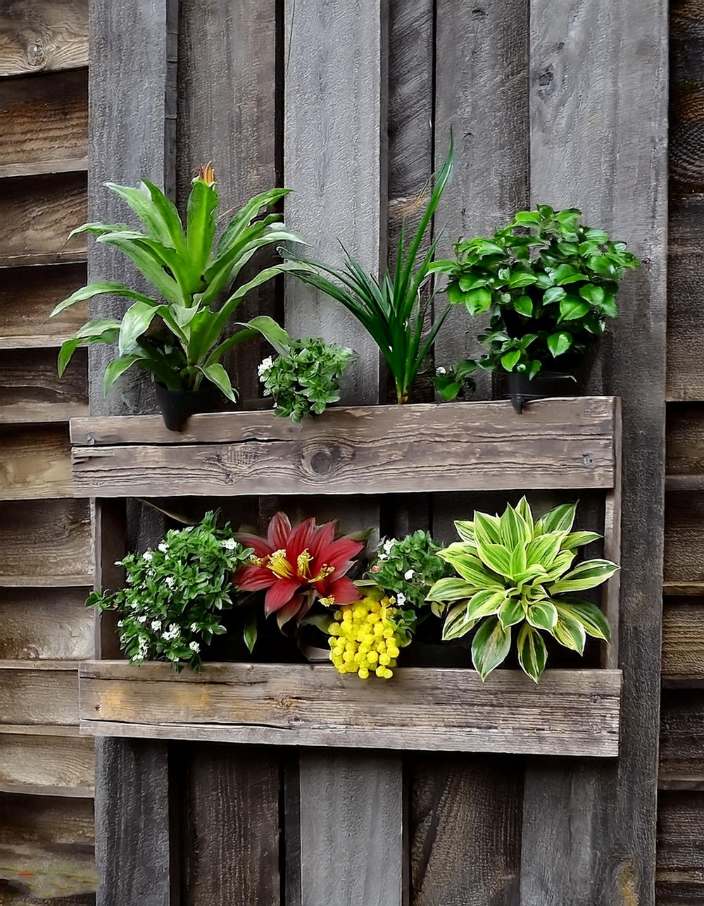 Reclaimed Wood Wall Planter