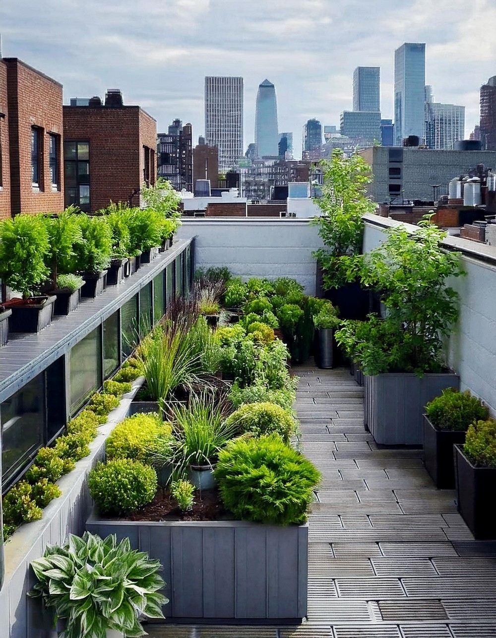 Rooftop Garden with City Views