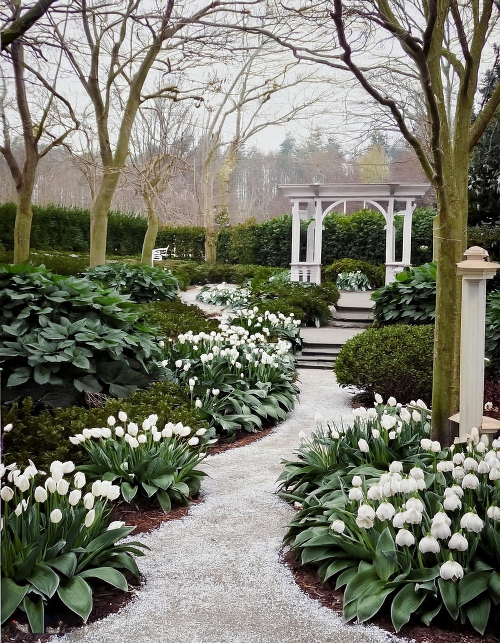 Snow-White Serenity A Monochromatic Haven