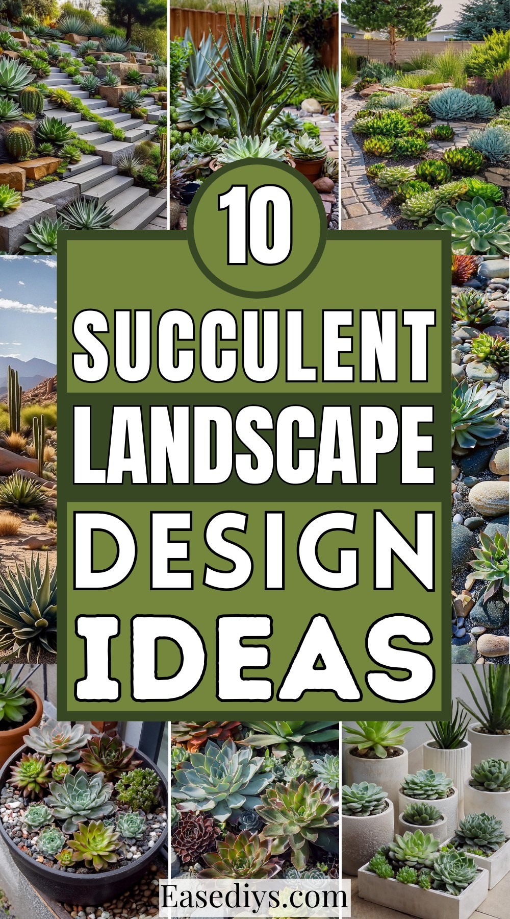 Succulent Landscape Design Ideas