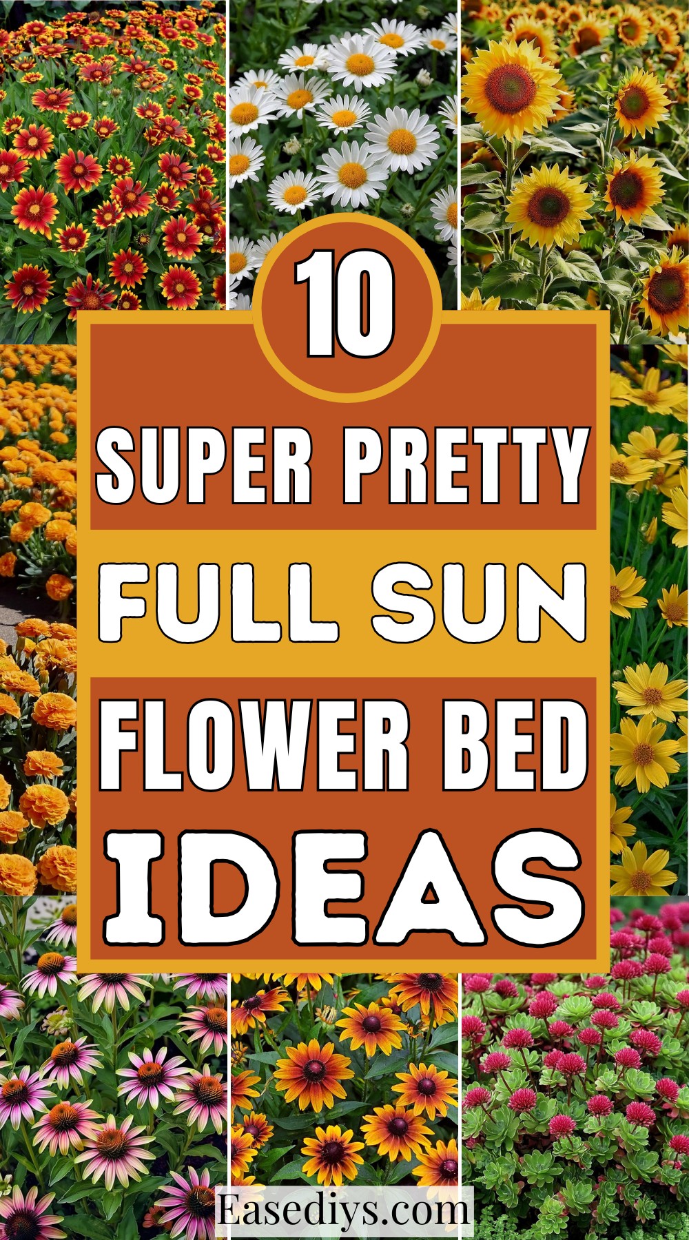 Super Pretty Full Sun Flower Bed Ideas