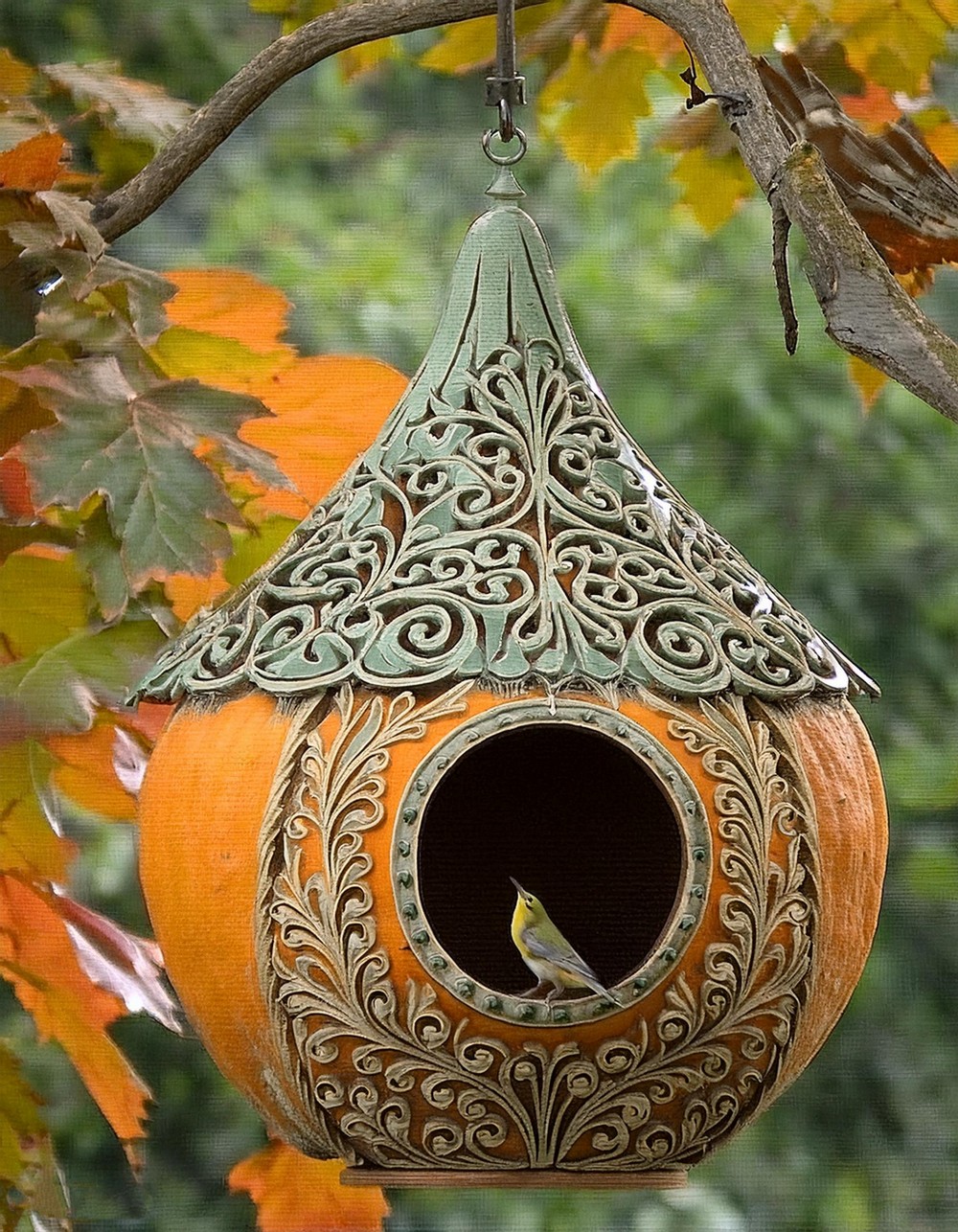 Unique Gourd Birdhouse with Intricate Etching