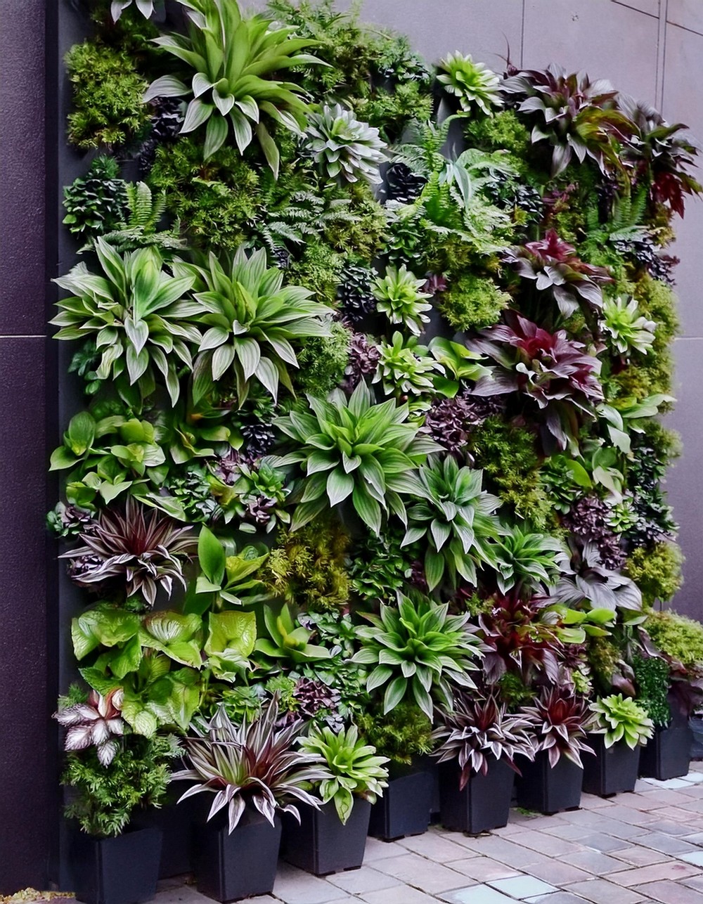 Vertical Garden Wall
