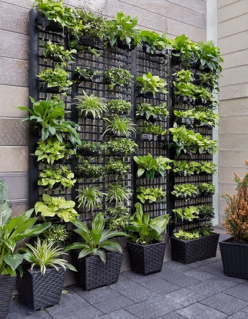 Vertical Garden with Trellis