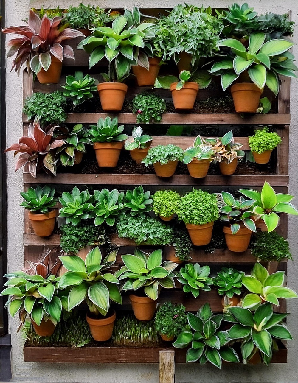 Wall Hanging vertical garden