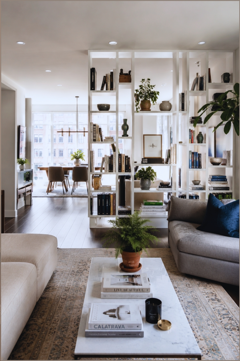 Room Divider Bookshelf Design